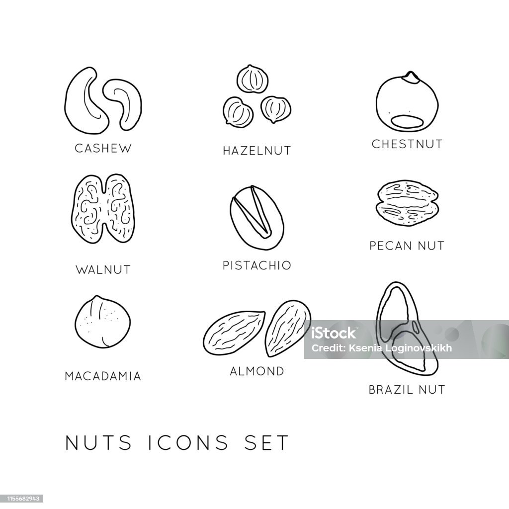 Diseño de línea vectorial Nuts y Seeds - arte vectorial de Alimento libre de derechos