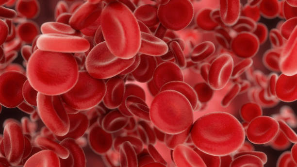 3d render blutzellen, die durch arterien oder venen fließen - red blood cell stock-fotos und bilder