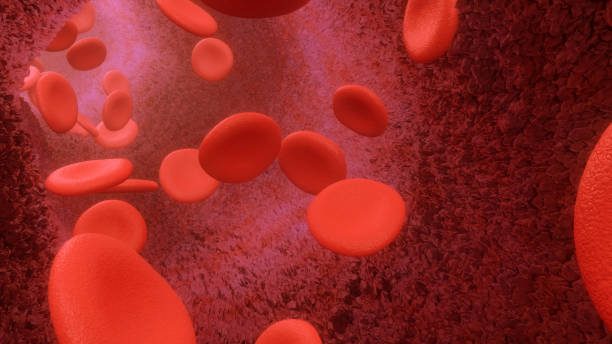istock 3d render Blood cells flowing through arteries or veins 1155689681