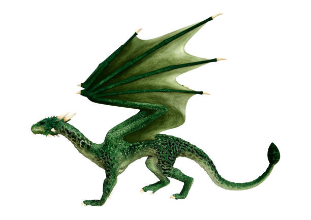 istock 3D illustration fantasy dragon on white 1155695629