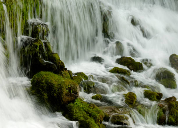 idyllischer wasserfall umgeben von grüner waldlandschaft - berne canton switzerland landscape travel stock-fotos und bilder