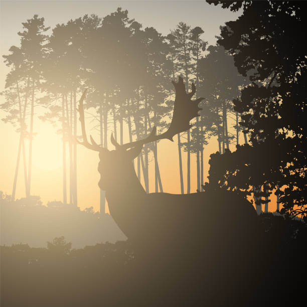 istock Realistic illustration of landscape with coniferous forest and morning sky with sunlight. Deer with antlers standing and looking at sunrise or sunset. Suitable as advertising for hunting or nature - vector 1155697518