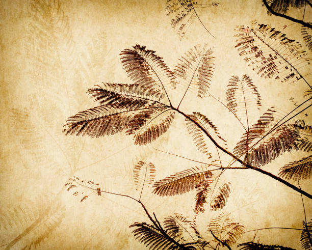 istock leaves tree with old grunge antique paper texture 1155697757