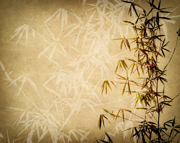 istock Bamboo on old grunge paper texture background 1155697952