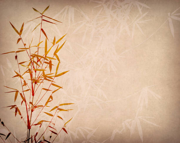 istock Bamboo on old grunge paper texture background 1155698156