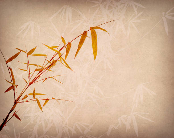 istock Bamboo on old grunge paper texture background 1155698288