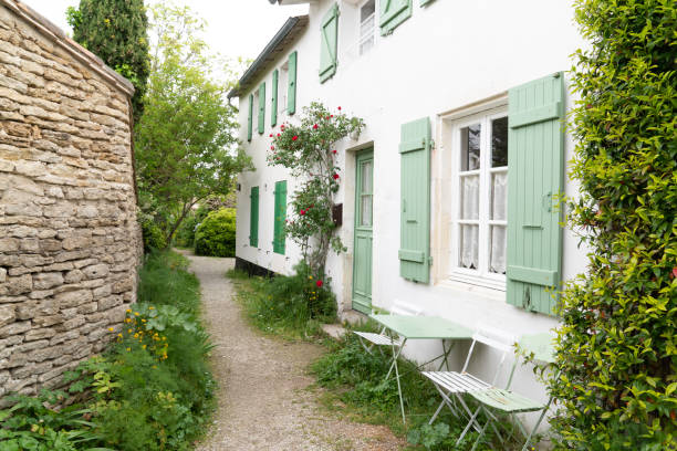 フランスのイル・ド・レ島の緑の路地の自然 - ile de france 写真 ストックフォトと画像