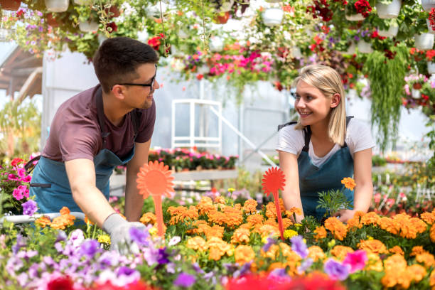istock Working in a garden center 1155700988