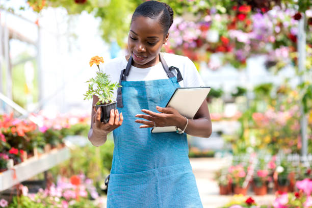 istock Working in a garden center 1155701054