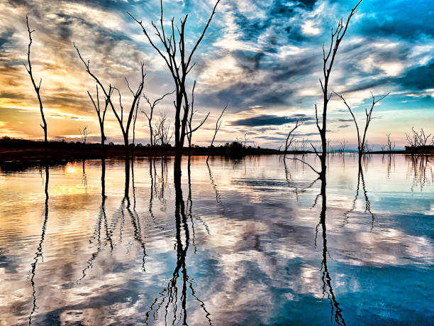 Man made lake , 226 km long and 40 km wide, located on the border between Zambia and Zimbabwe.