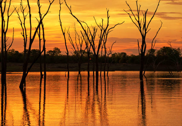 Man made lake , 226 km long and 40 km wide, located on the border between Zambia and Zimbabwe.