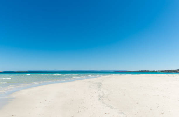 istock landscape of empty tropical beach 1155706384