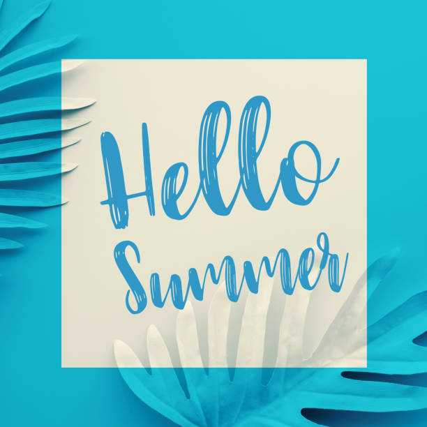hello summer concepts with text on pastel tropical leaves on color background.Decoration design for cover or banner