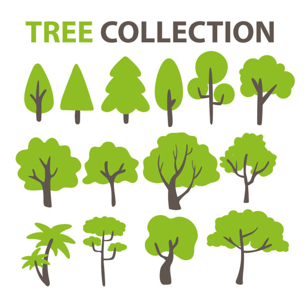 illustrazioni stock, clip art, cartoni animati e icone di tendenza di collezione di alberi piatti per decorare lo sfondo di un albero dei cartoni animati - legno illustrazioni