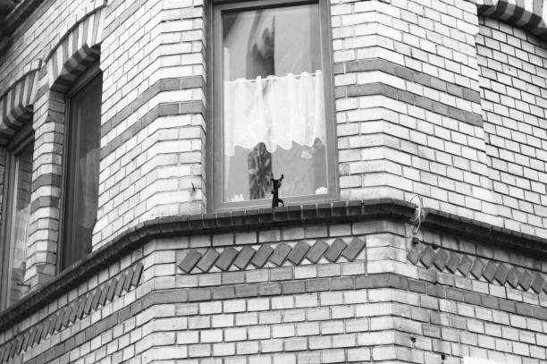 istock Window detail of a typical german house (Moselkern, Germany, Europe) 1155715004