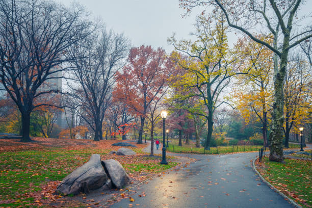 istock NY Central park at rainy morning 1155719472