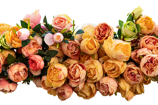 Garland of roses isolated. Decorative garland of colorful artifical roses isolated on a white background. Roses decoration background.