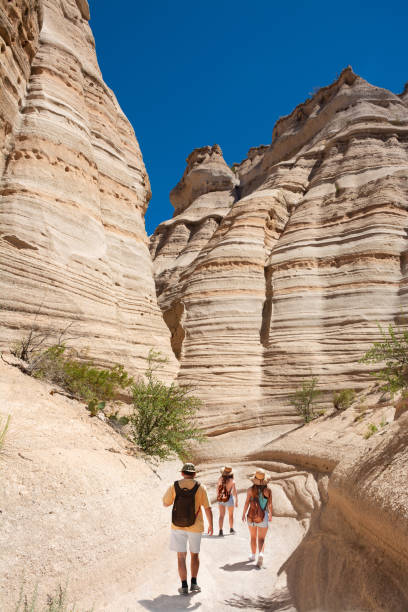 istock Family exploring New Mexico mountain on summer vacation. 1155719868