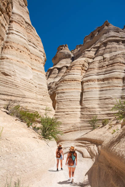 istock Girls exploring New Mexico mountain on summer vacation. 1155719877
