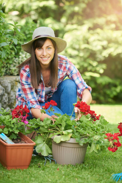 istock Woman planting flowers in backyard. 1155720777