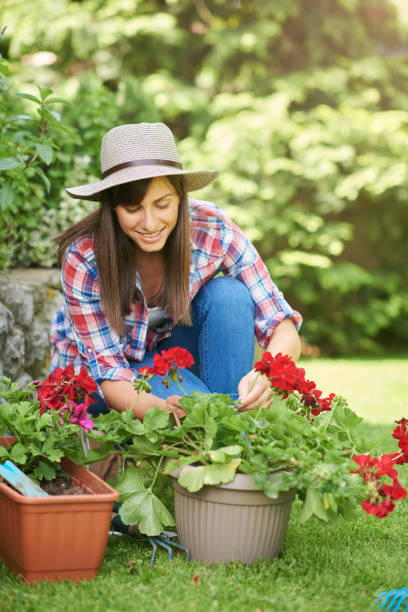 istock Woman planting flowers in backyard. 1155721016