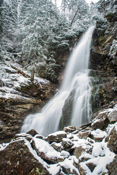 istock forest river with rocky gulf and waterfalls 1155721242
