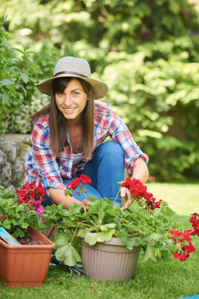 istock Woman planting flowers in backyard. 1155721439