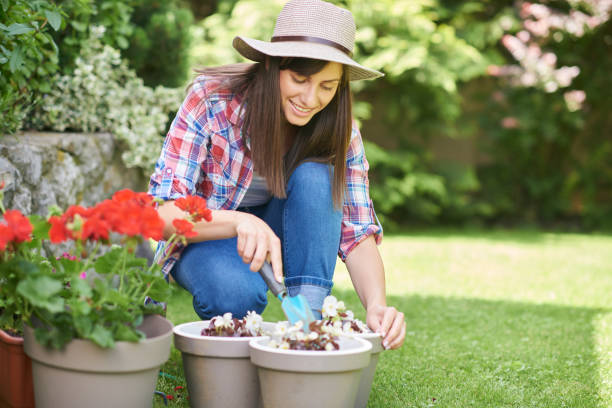 istock Woman planting flowers in backyard. 1155722331