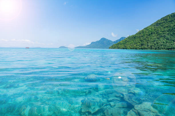 istock Perfect tropical turquoise clear ocean water 1155722521