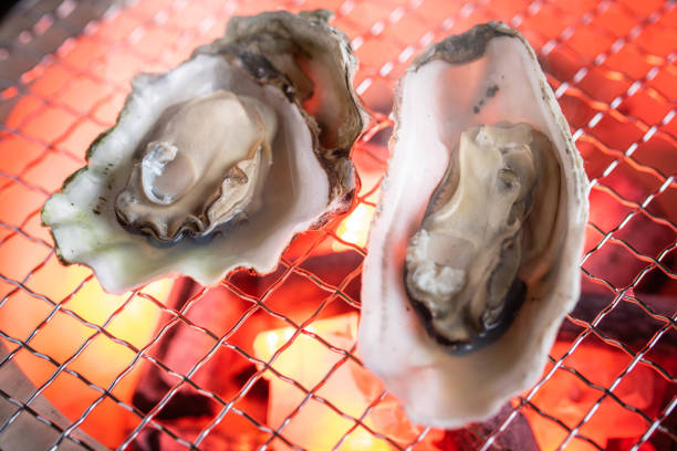 istock grilled oyster on japanese shichirin grill 1155723749
