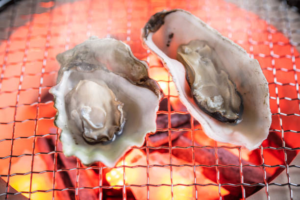 istock grilled oyster on japanese shichirin grill 1155723791