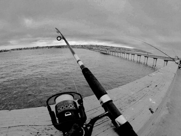 ocean beach - san diego, ca