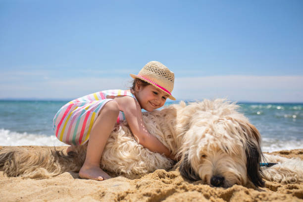 istock Summer is always more fun with a friend 1155728453