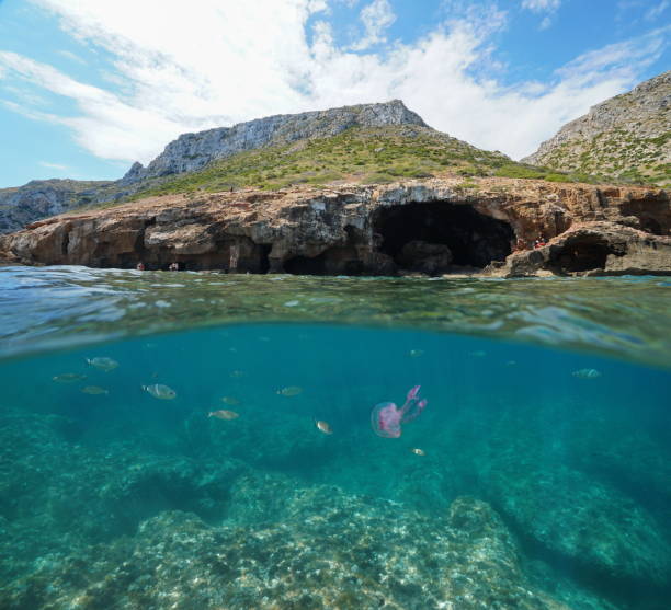 istock Cave on coastline with fish underwater sea Spain 1155731091