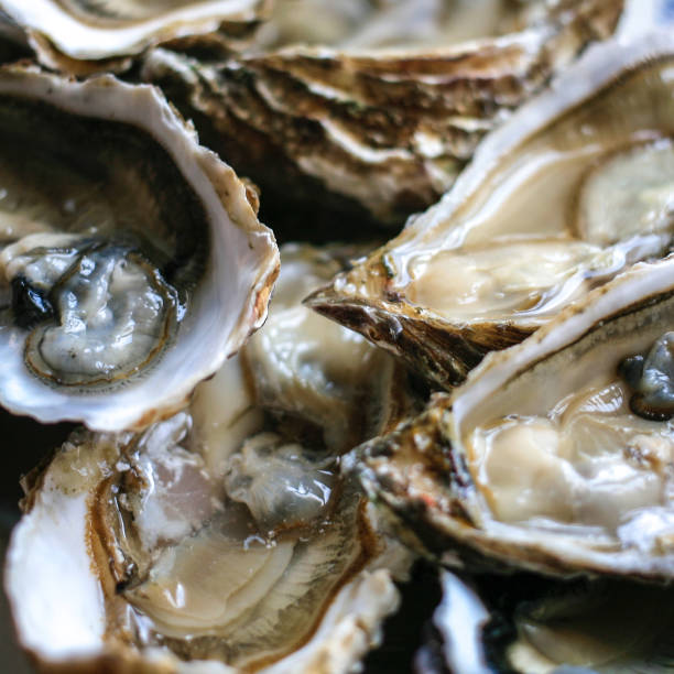 istock Fresh open oysters from Cancale on black background top view 1155733377