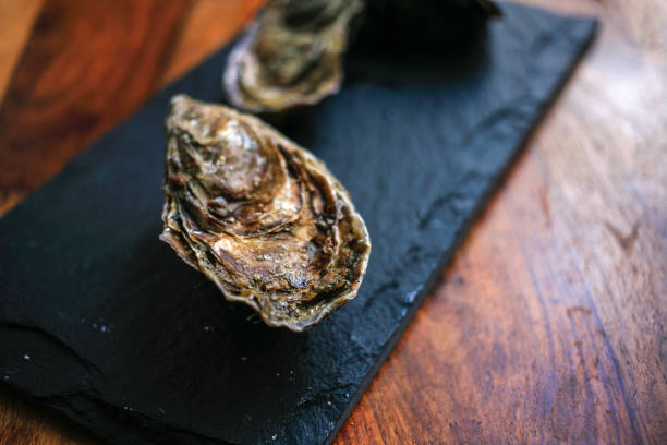istock Two fresh closed oysters on black background top view 1155734467