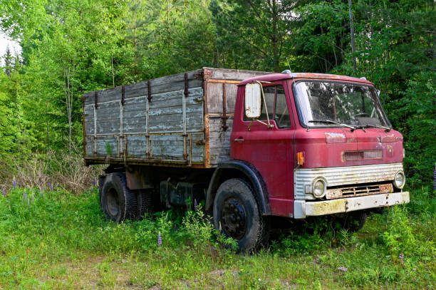 istock old red truck standing in a forest 1155735098
