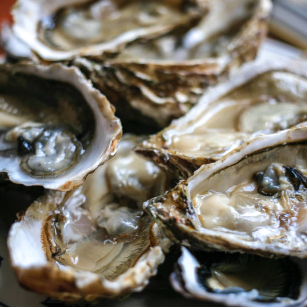 istock Fresh open oysters from Cancale on black background top view 1155736531