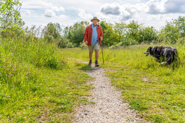 istock Active senior man hiking in countryside 1155738106