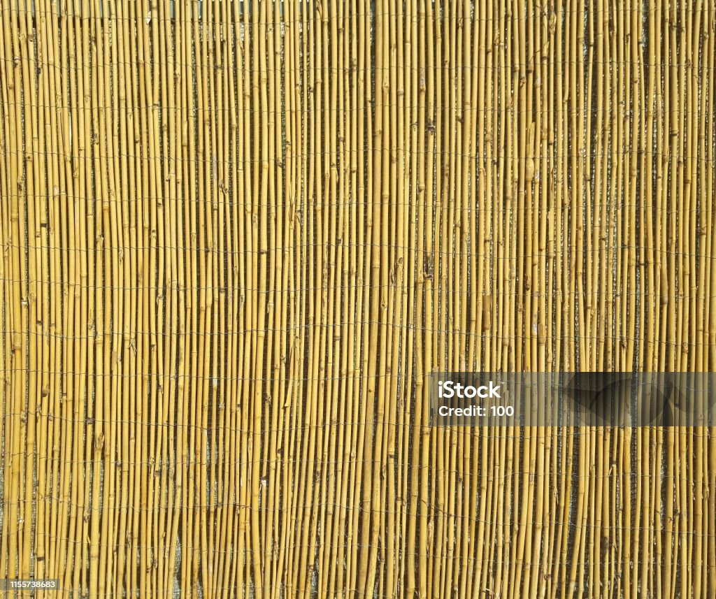 bamboo texture with natural patterns Element fencing, made of barrels of mature bamboo. Bamboo - Material Stock Photo