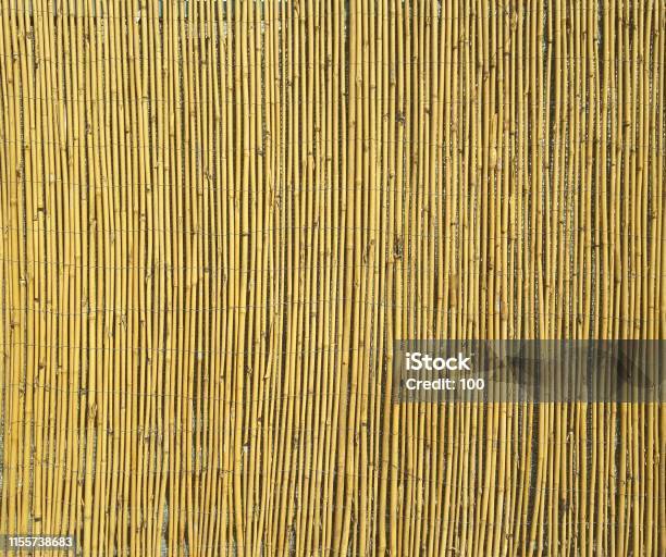 Bamboo Texture With Natural Patterns Stock Photo - Download Image Now - Bamboo - Material, Bunch, Bundle