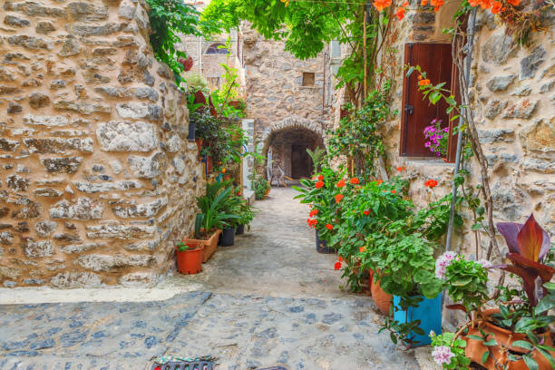 istock Alley in Mesta, Chios Island, Greece 1155739015