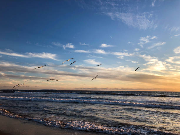 istock Gorgeous sunset over the pacific ocean in Venice, CA 1155740134