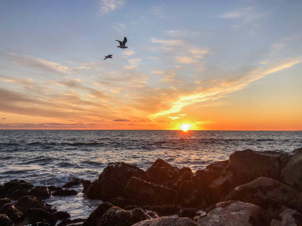 istock Gorgeous sunset over the pacific ocean in Venice, CA 1155740238