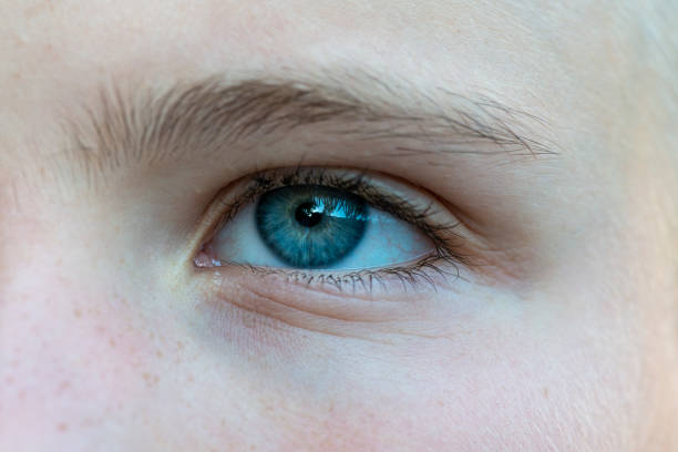 istock Close-up of a child blue eye 1155741439