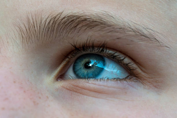 istock Close-up of a child blue eye 1155742081