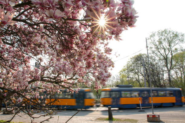 istock The most beautiful city in East Germany 1155743364