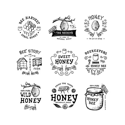 Set of badge Honey. Hand drawn bee, flower, hive, glass jar. Label  template. Design fashion apparel print. Graphic vintage illustration.