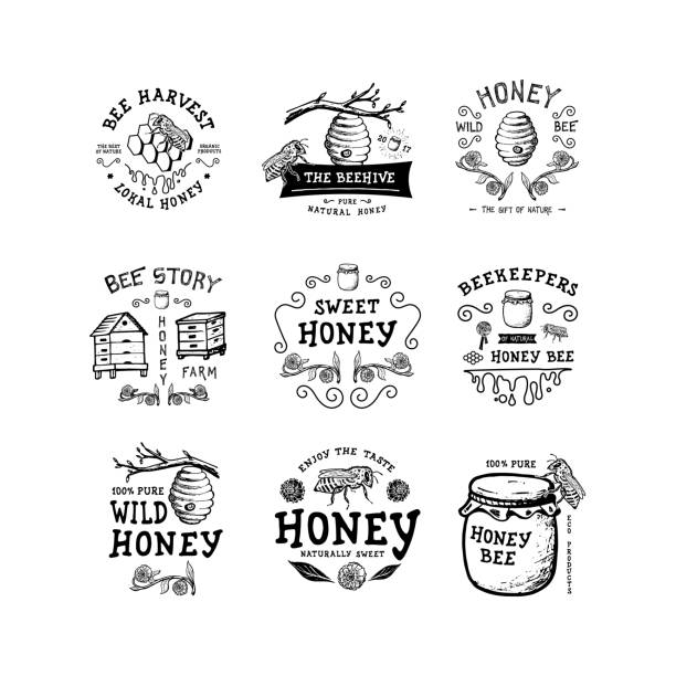 Badge Honey Set of badge Honey. Hand drawn bee, flower, hive, glass jar. Label  template. Design fashion apparel print. Graphic vintage illustration. bee water stock illustrations