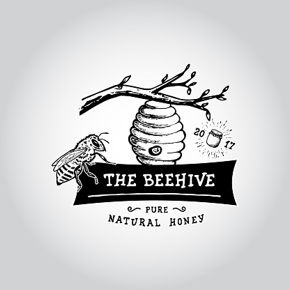 Badge Honey. Hand drawn bee, flower, hive, glass jar. Label  template. Design fashion apparel print. Graphic vintage illustration.